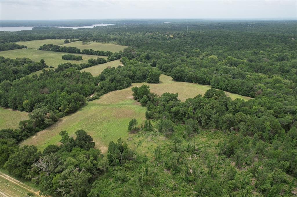 TBD Cr 2170, Grapeland, Texas image 8