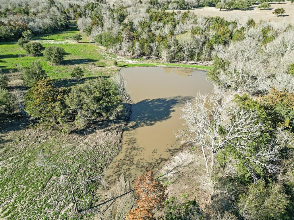 8290 Richardson Lane, Brenham, Texas image 8