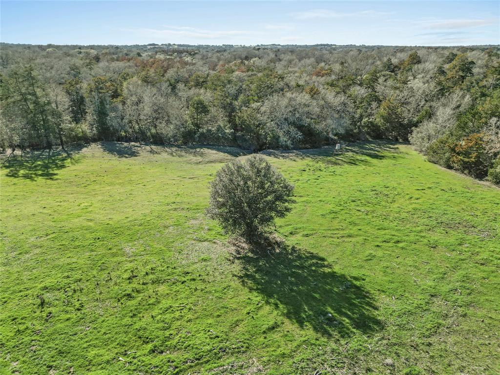 8290 Richardson Lane, Brenham, Texas image 16