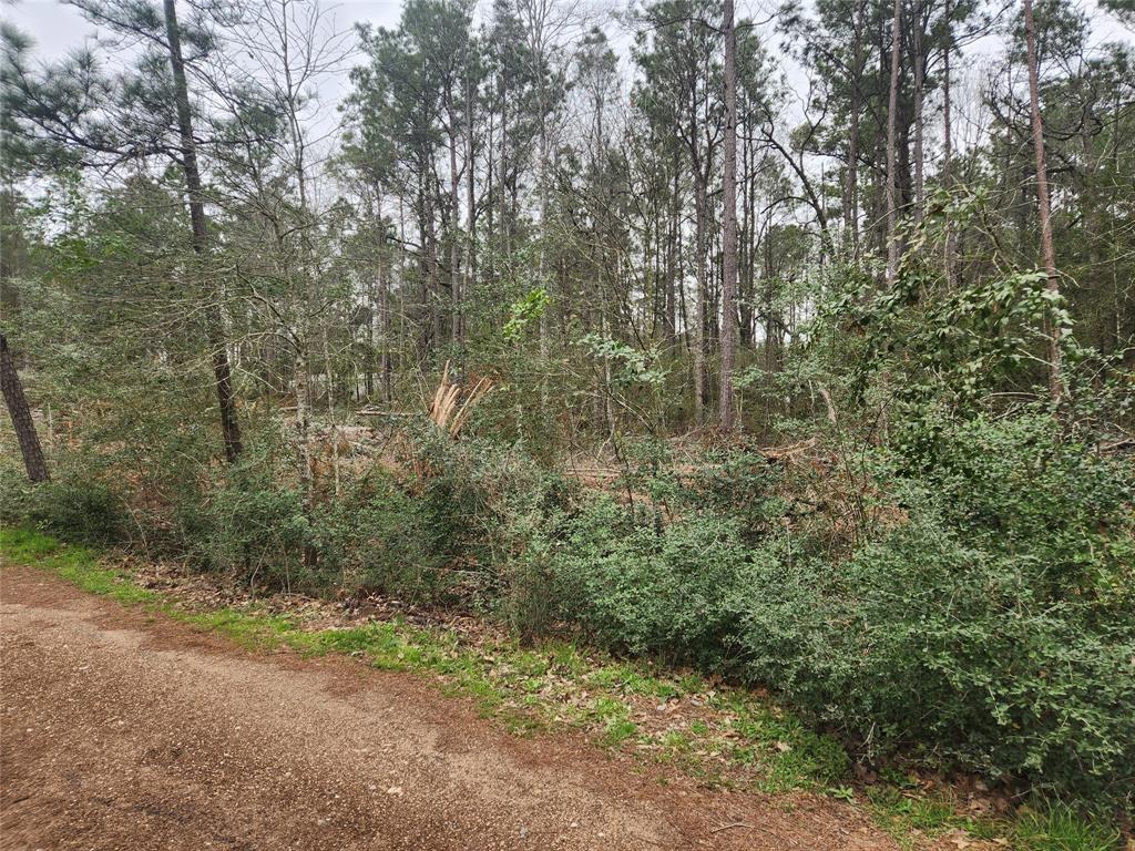 Lot 28 Honey Locust Lane, Plantersville, Texas image 19