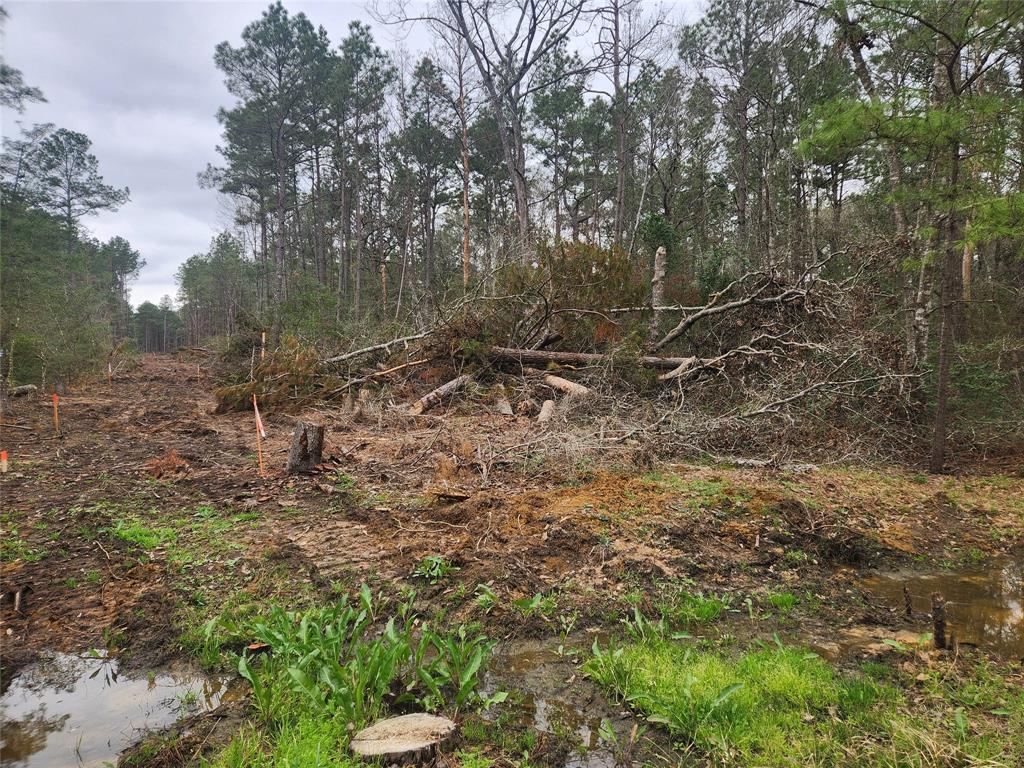 Lot 28 Honey Locust Lane, Plantersville, Texas image 39