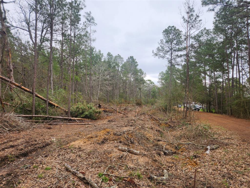 Lot 28 Honey Locust Lane, Plantersville, Texas image 4