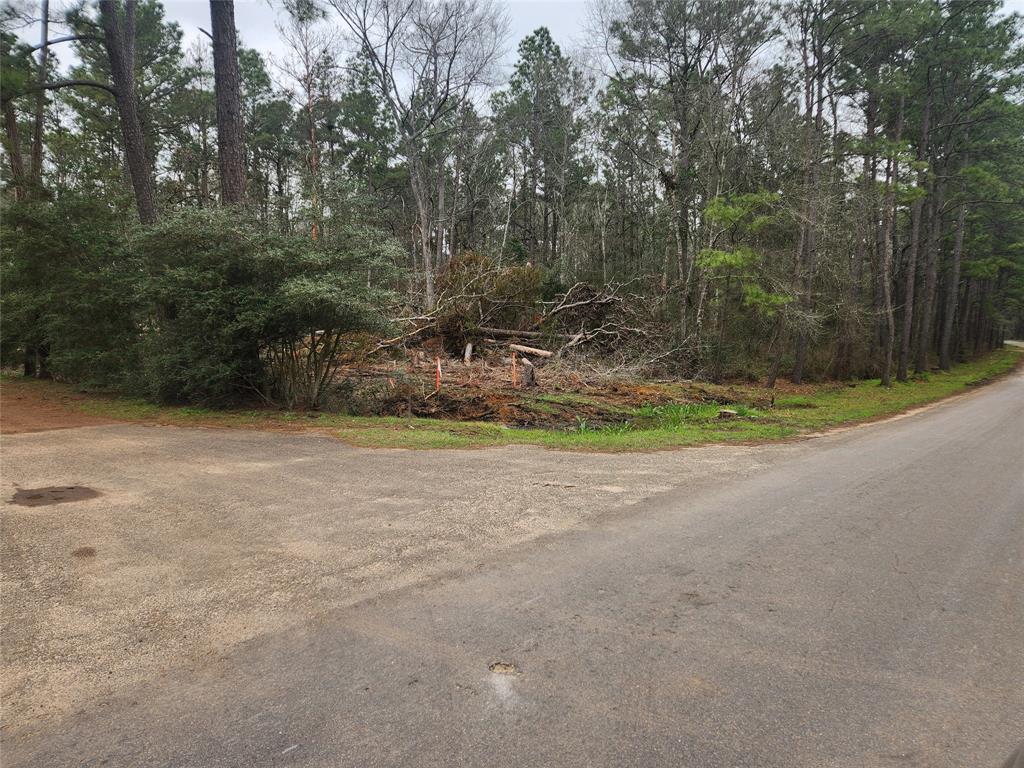 Lot 28 Honey Locust Lane, Plantersville, Texas image 42