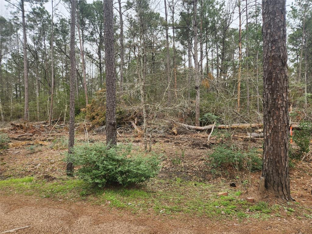 Lot 28 Honey Locust Lane, Plantersville, Texas image 21