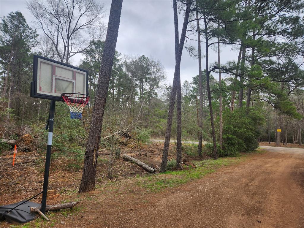 Lot 28 Honey Locust Lane, Plantersville, Texas image 27