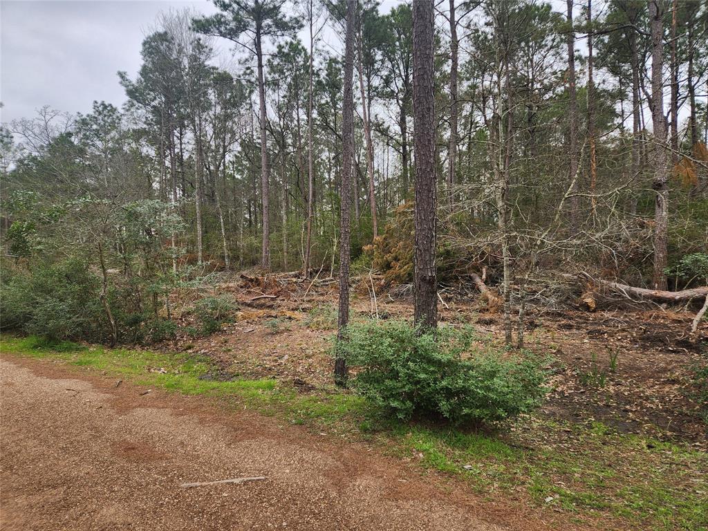 Lot 28 Honey Locust Lane, Plantersville, Texas image 23