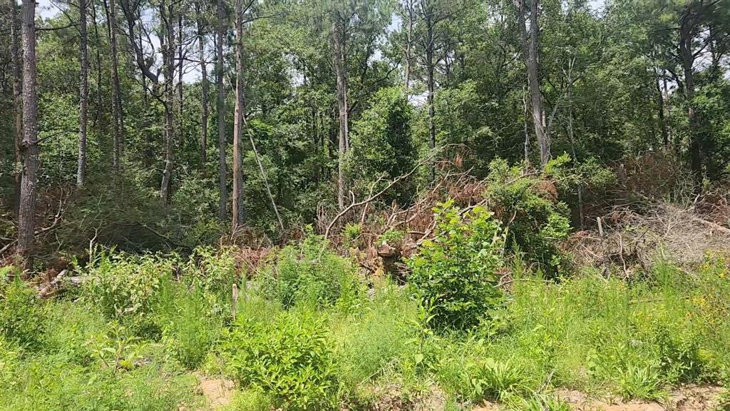 Lot 28 Honey Locust Lane