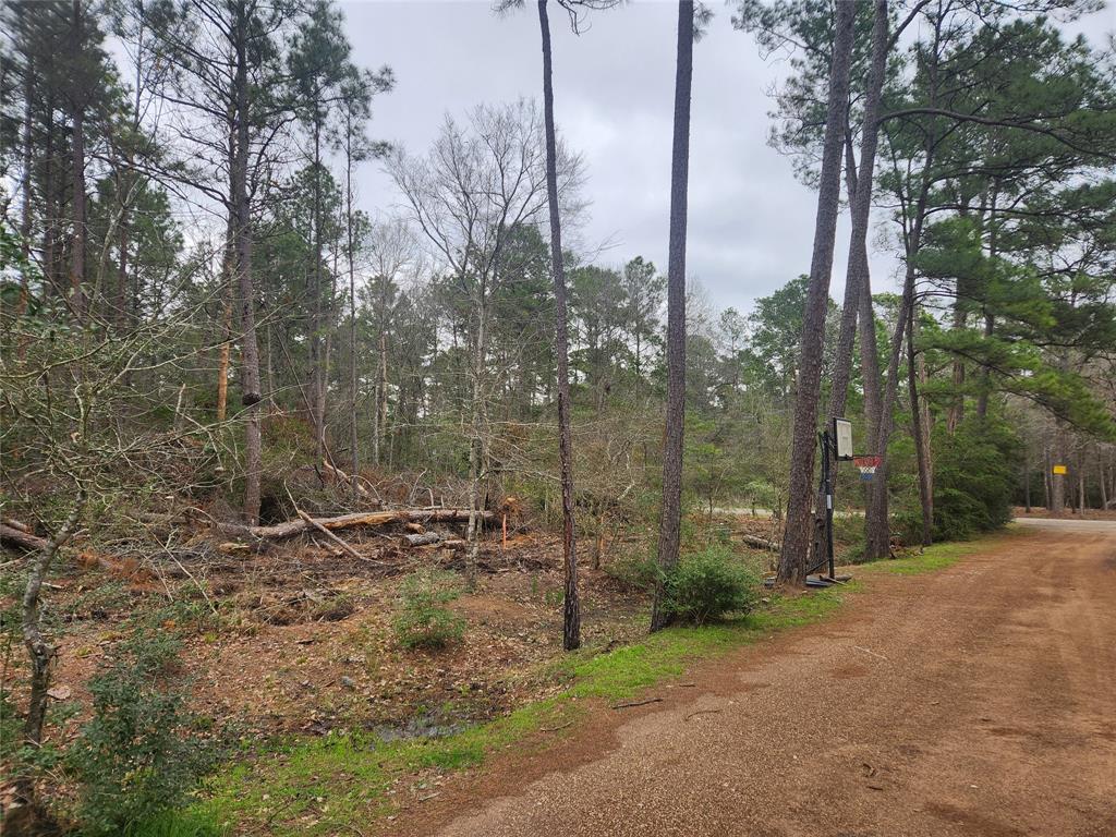 Lot 28 Honey Locust Lane, Plantersville, Texas image 12