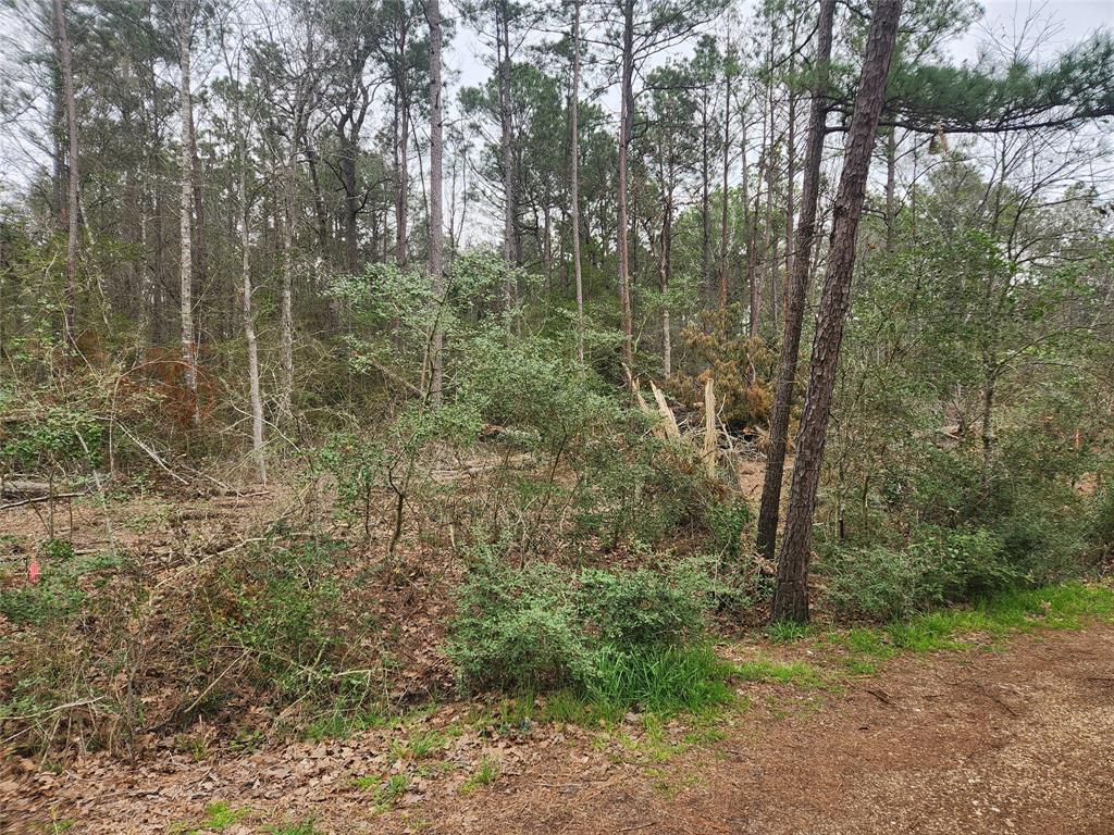 Lot 28 Honey Locust Lane, Plantersville, Texas image 8