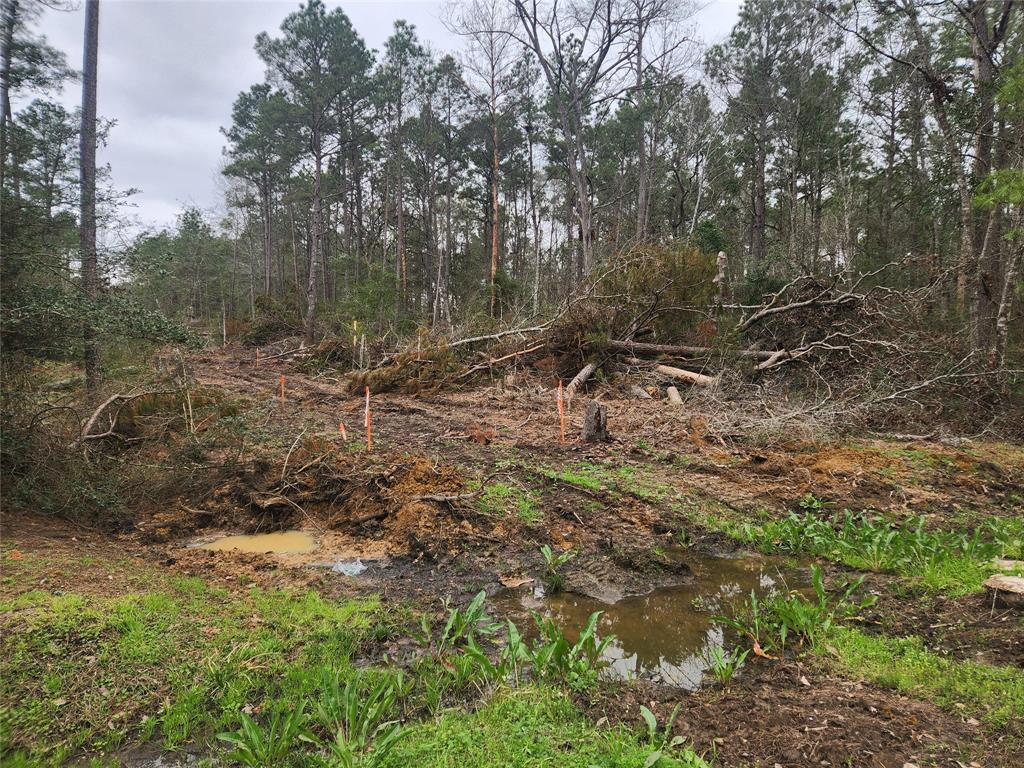 Lot 28 Honey Locust Lane, Plantersville, Texas image 34