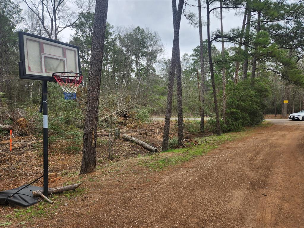 Lot 28 Honey Locust Lane, Plantersville, Texas image 26