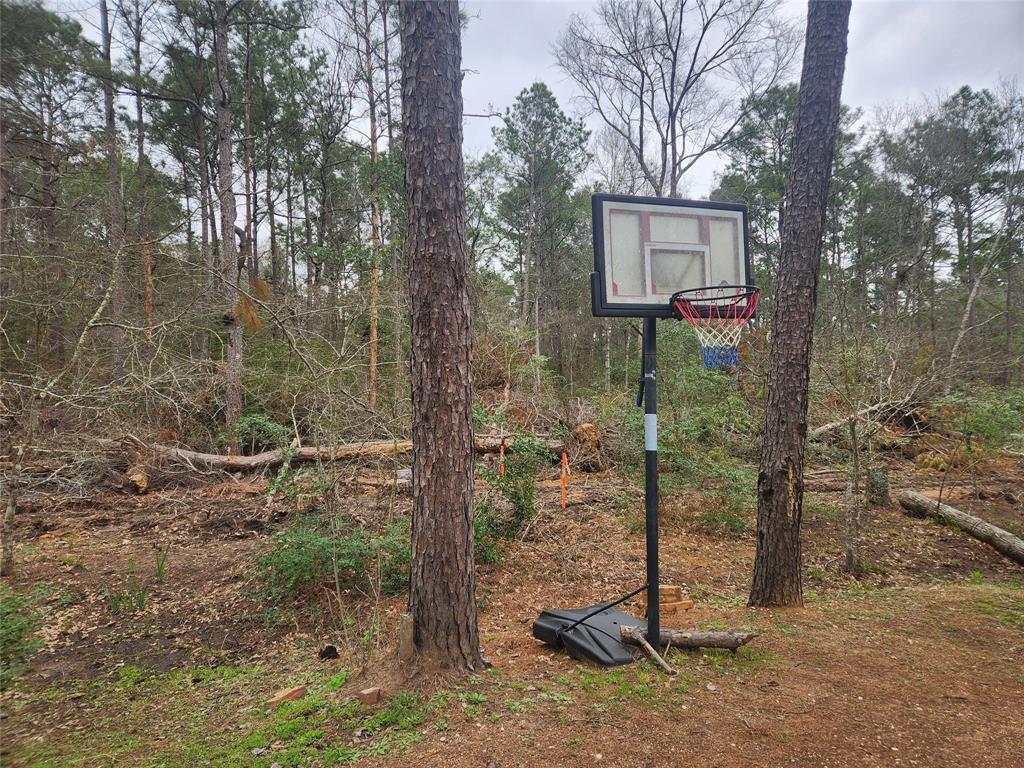 Lot 28 Honey Locust Lane, Plantersville, Texas image 29
