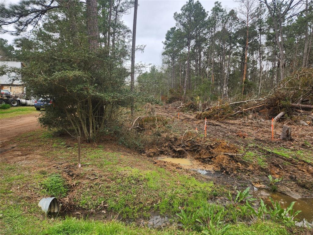 Lot 28 Honey Locust Lane, Plantersville, Texas image 36