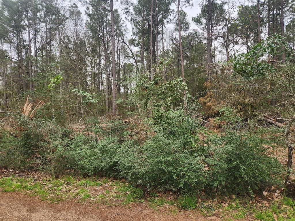 Lot 28 Honey Locust Lane, Plantersville, Texas image 20