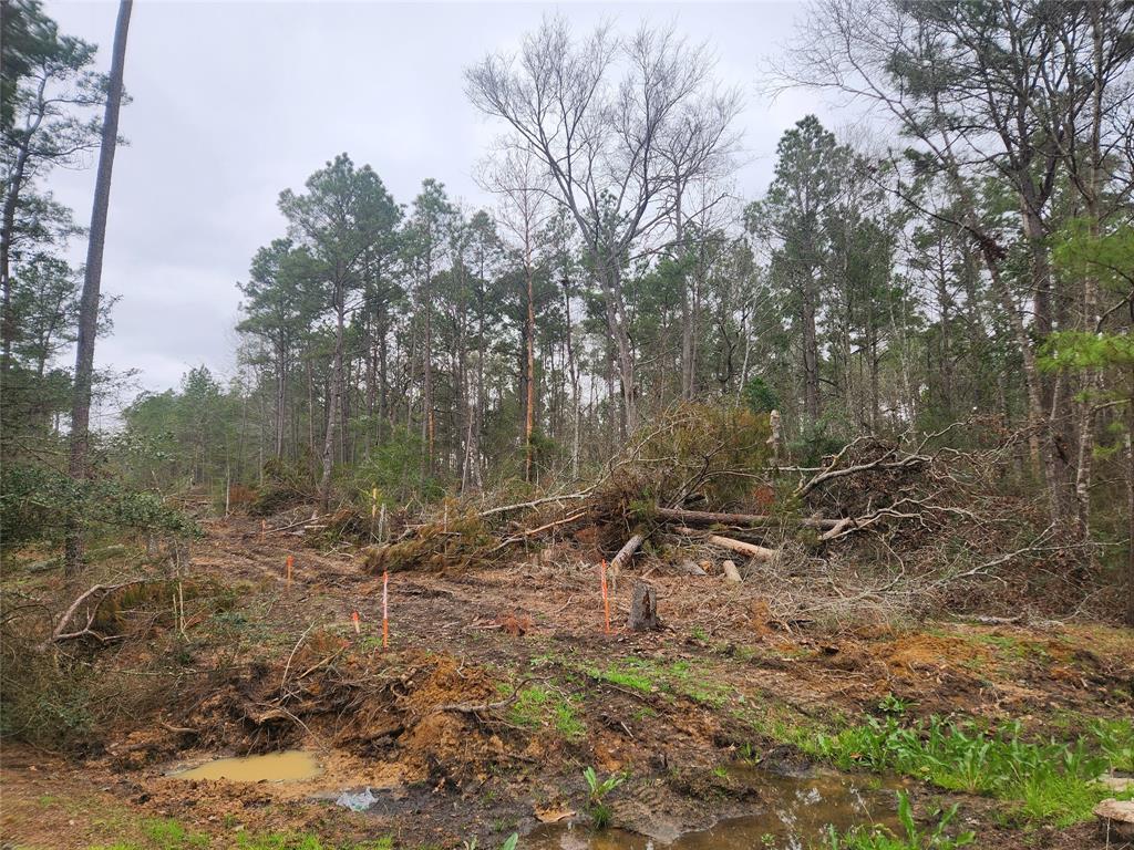 Lot 28 Honey Locust Lane, Plantersville, Texas image 35