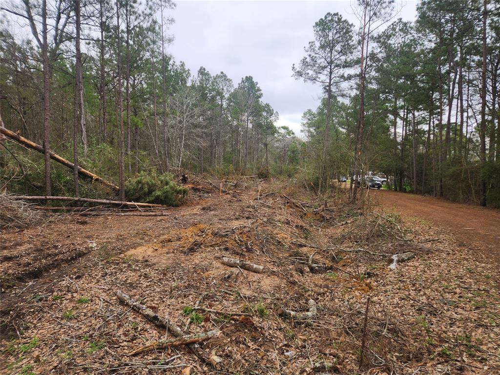 Lot 28 Honey Locust Lane, Plantersville, Texas image 3