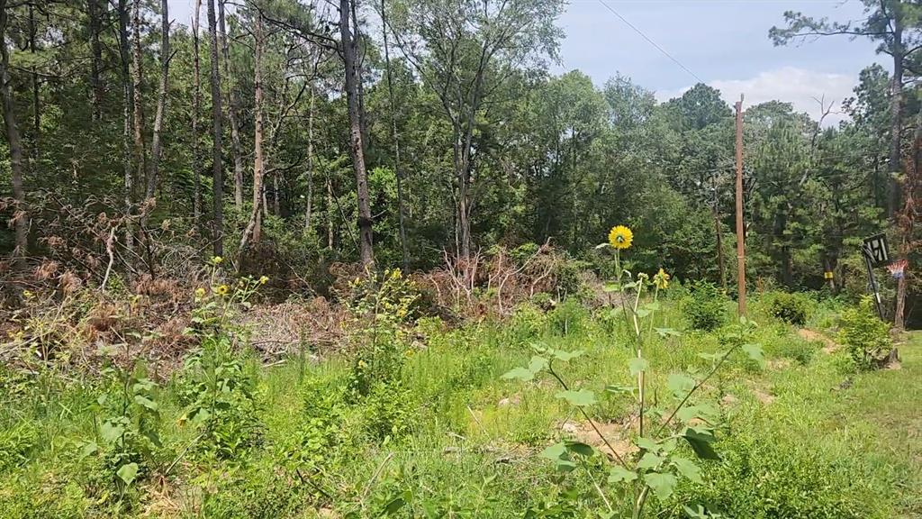 Lot 28 Honey Locust Lane