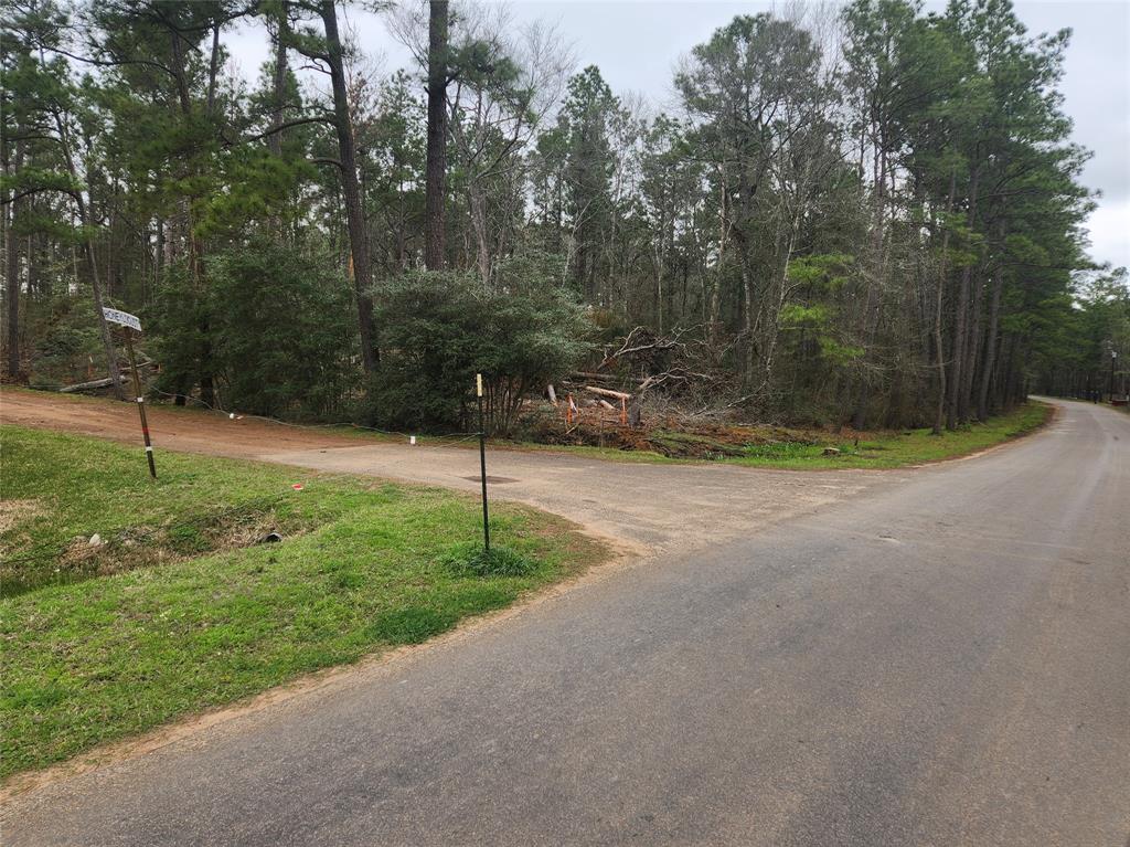 Lot 28 Honey Locust Lane, Plantersville, Texas image 41