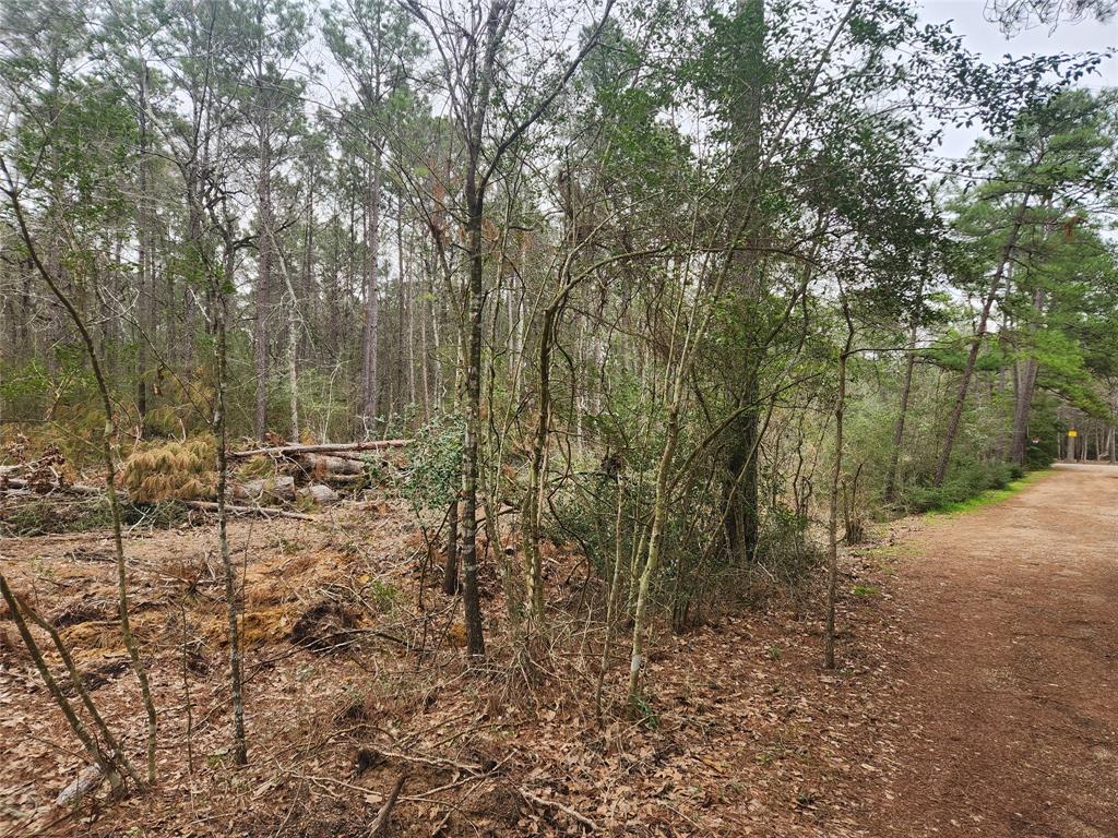 Lot 28 Honey Locust Lane, Plantersville, Texas image 6