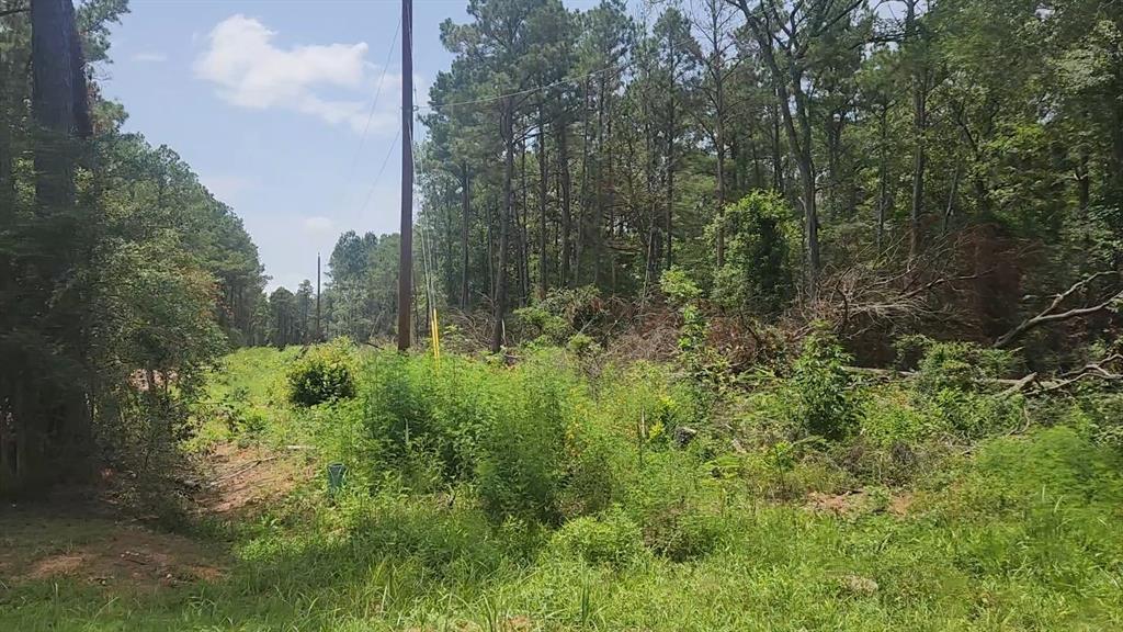 Lot 28 Honey Locust Lane