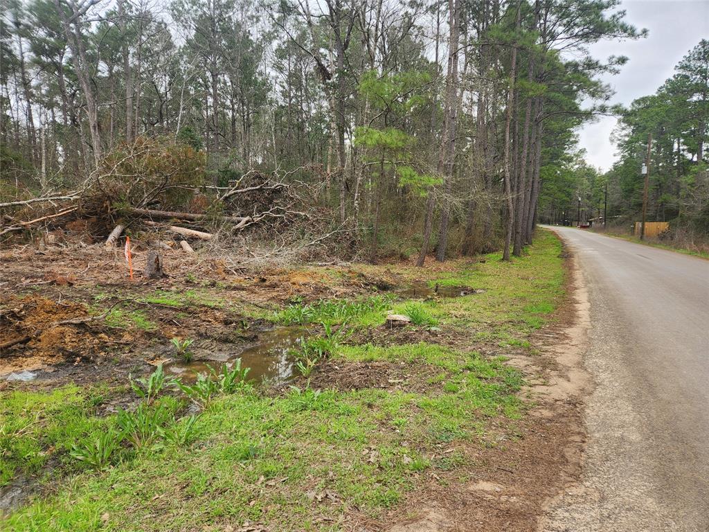 Lot 28 Honey Locust Lane, Plantersville, Texas image 32