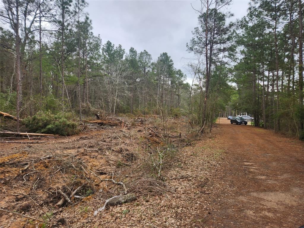 Lot 28 Honey Locust Lane, Plantersville, Texas image 5