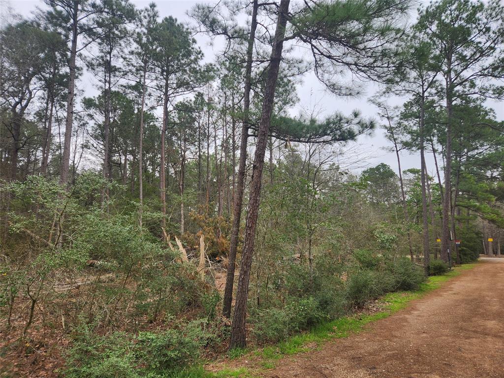 Lot 28 Honey Locust Lane, Plantersville, Texas image 11