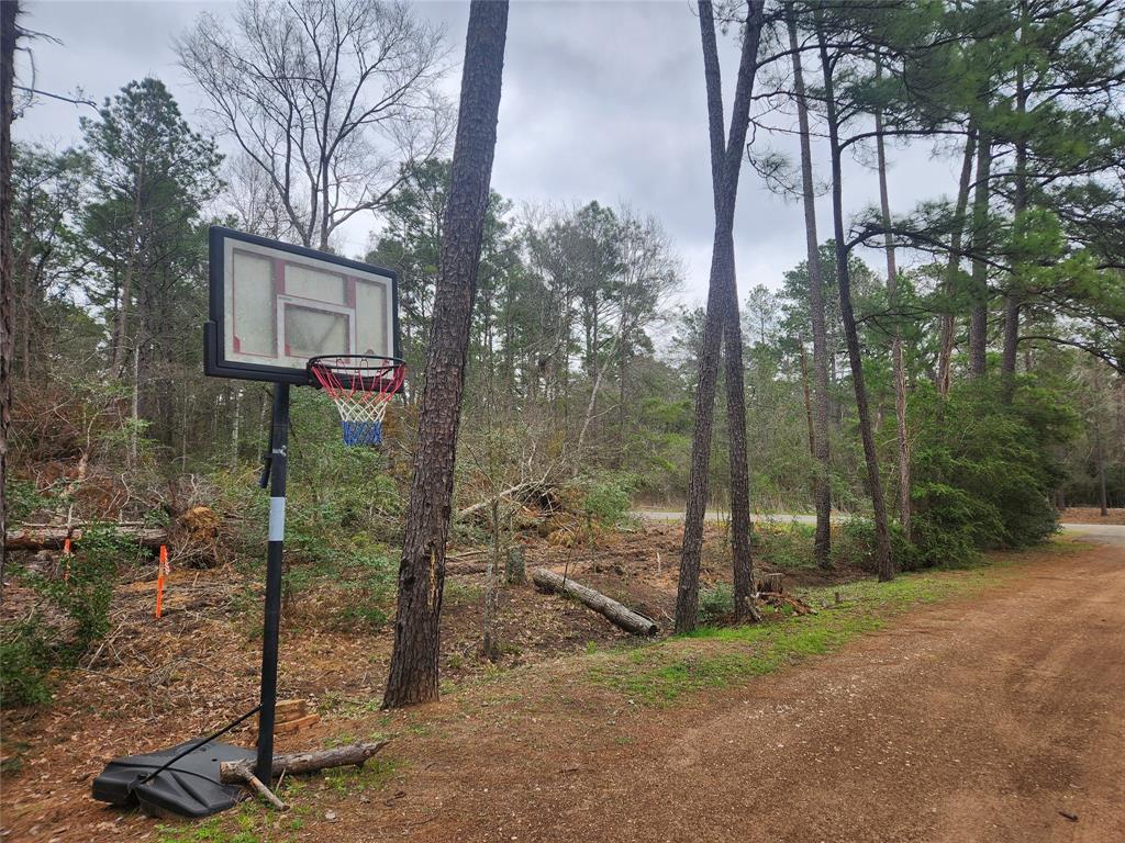 Lot 28 Honey Locust Lane, Plantersville, Texas image 28