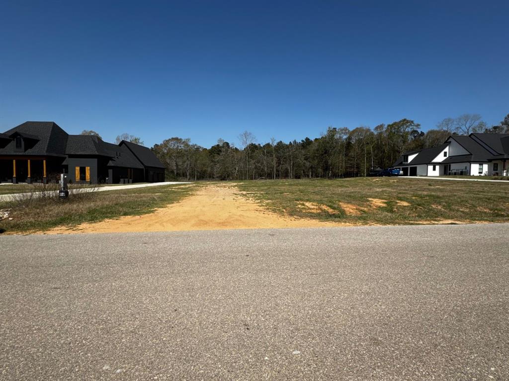 70 Quiet Springs Trail, Willis, Texas image 3