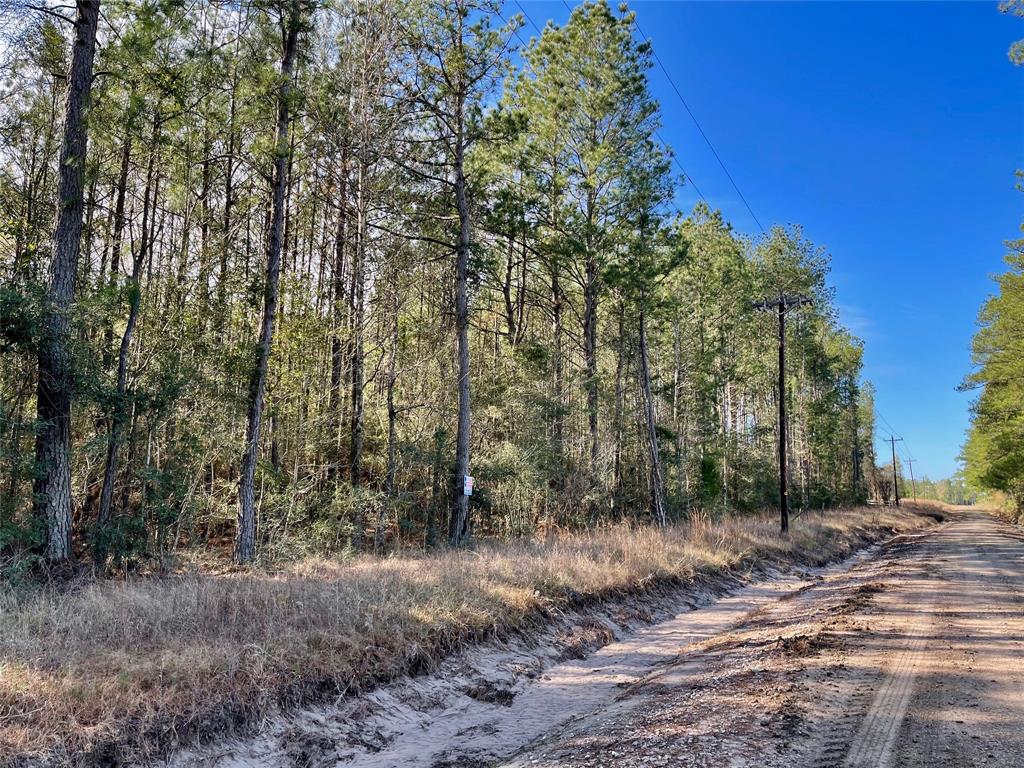 6 +/- Acs Cr 3400, Colmesneil, Texas image 5