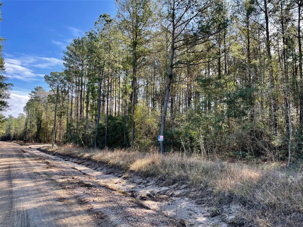 6 +/- Acs Cr 3400, Colmesneil, Texas image 8
