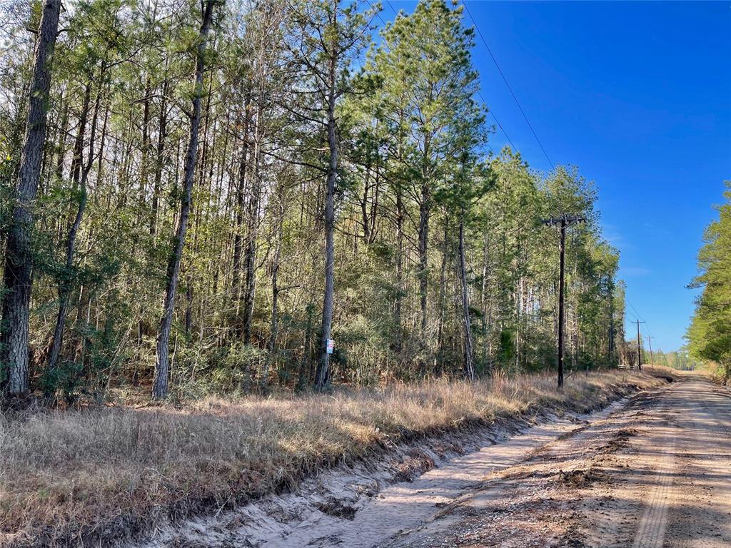 6 +/- Acs Cr 3400, Colmesneil, Texas image 7
