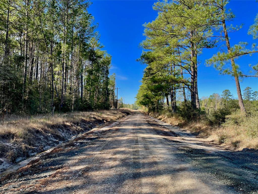6 +/- Acs Cr 3400, Colmesneil, Texas image 9