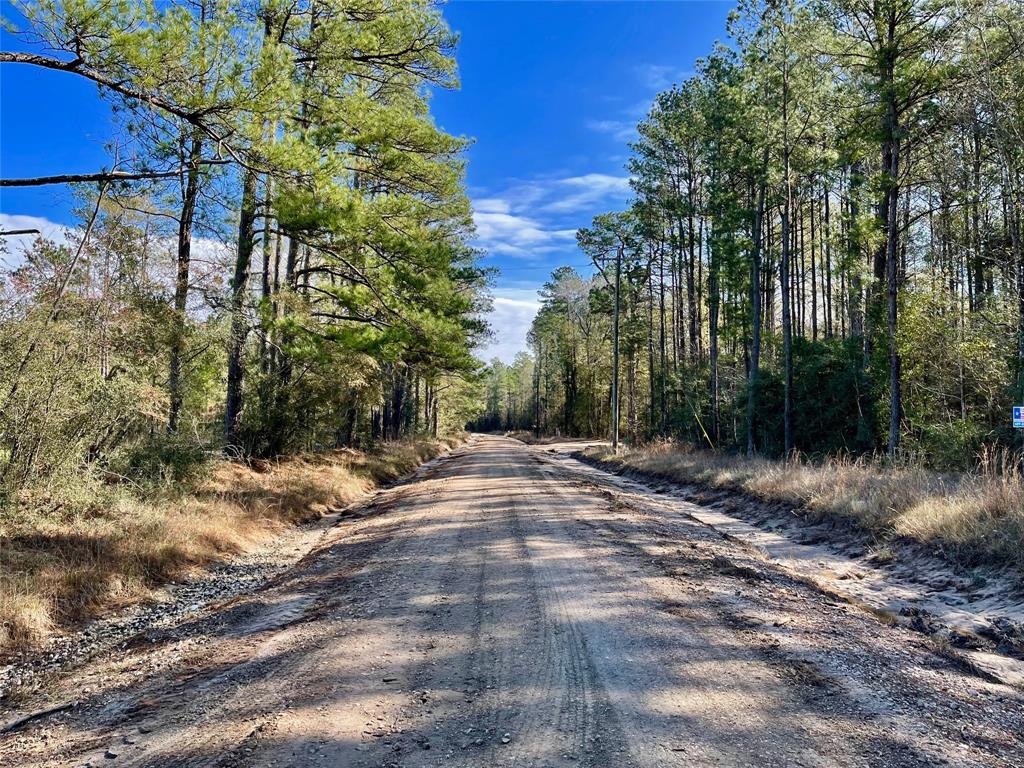 6 +/- Acs Cr 3400, Colmesneil, Texas image 2