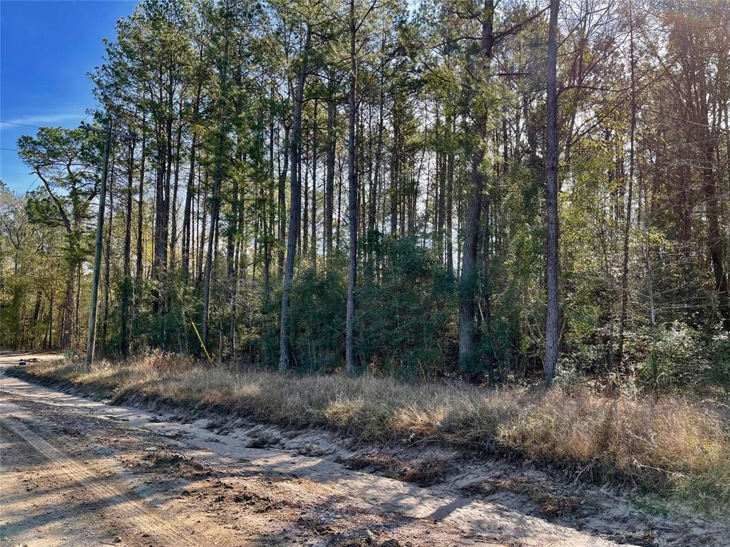6 +/- Acs Cr 3400, Colmesneil, Texas image 3