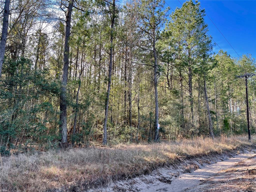 6 +/- Acs Cr 3400, Colmesneil, Texas image 4