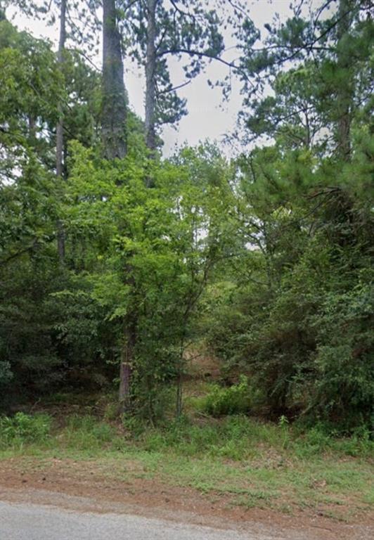 30569 Lake Rd Rd, Waller, Texas image 26