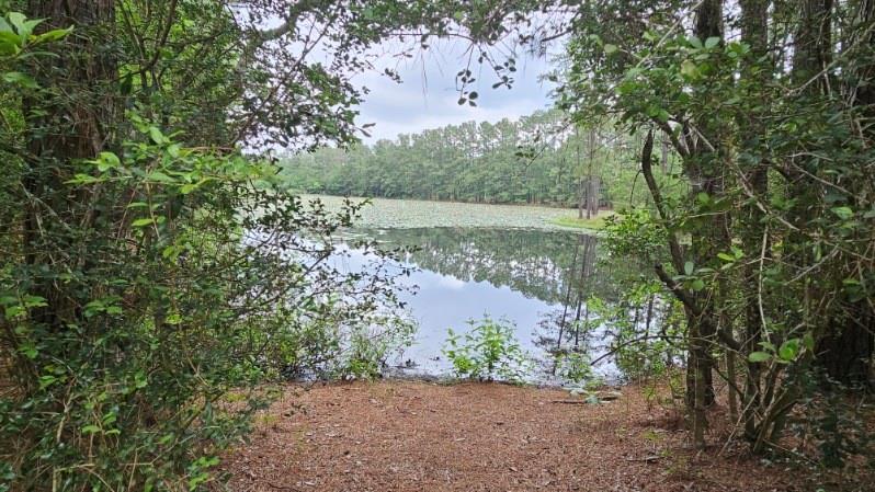 30569 Lake Rd Rd, Waller, Texas image 16