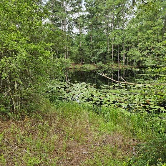 30569 Lake Rd Rd, Waller, Texas image 8