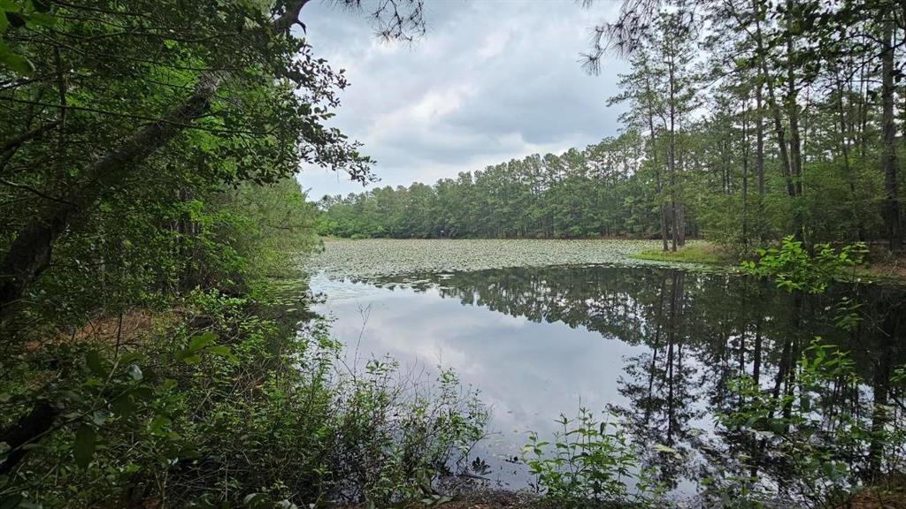 30569 Lake Rd Rd, Waller, Texas image 10
