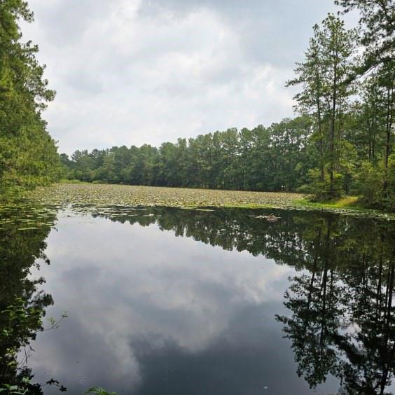 30569 Lake Rd Rd, Waller, Texas image 14