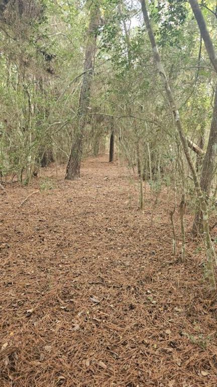 30569 Lake Rd Rd, Waller, Texas image 15