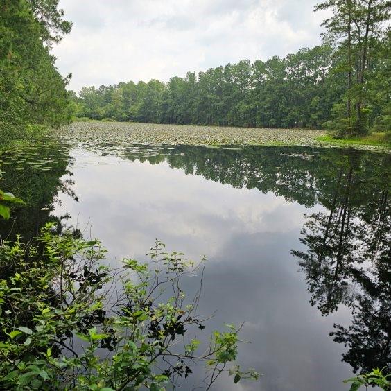 30569 Lake Rd Rd, Waller, Texas image 25