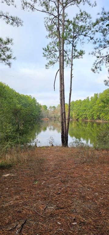 30569 Lake Rd Rd, Waller, Texas image 7