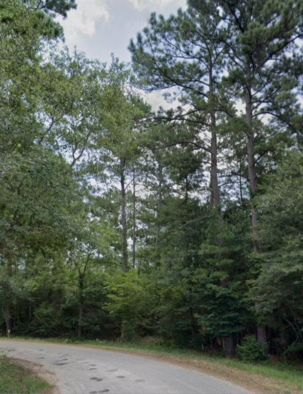 30569 Lake Rd Rd, Waller, Texas image 28