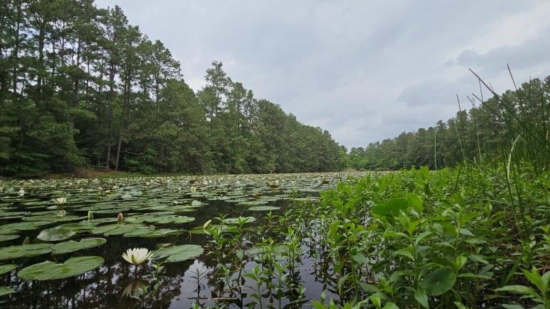 30569 Lake Rd Rd, Waller, Texas image 37