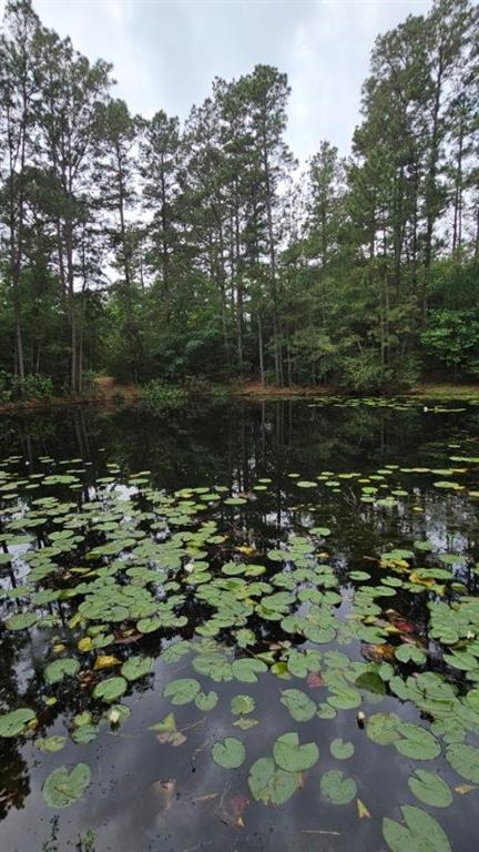 30569 Lake Rd Rd, Waller, Texas image 17