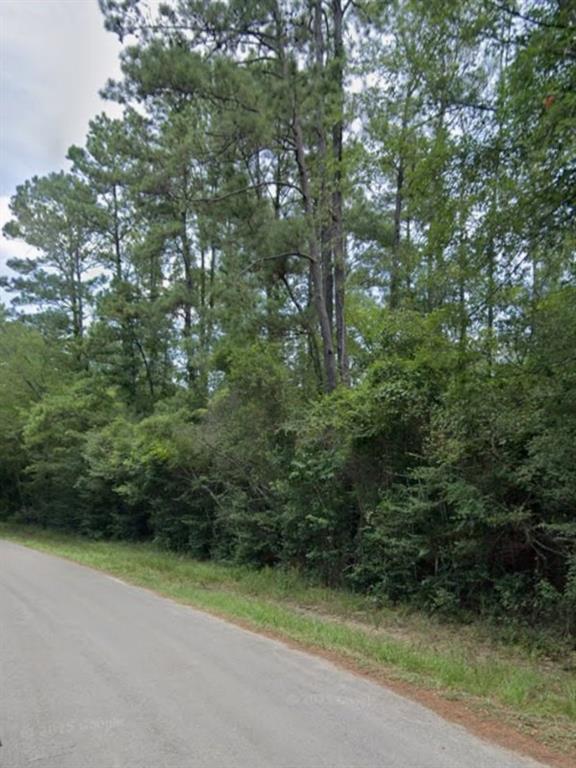30569 Lake Rd Rd, Waller, Texas image 27