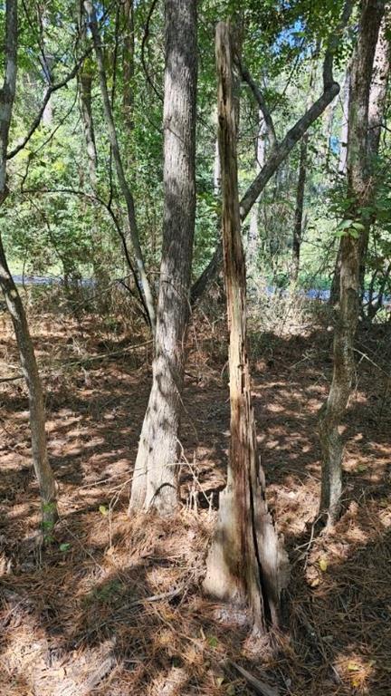 30569 Lake Rd Rd, Waller, Texas image 45