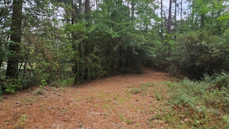 30569 Lake Rd Rd, Waller, Texas image 36